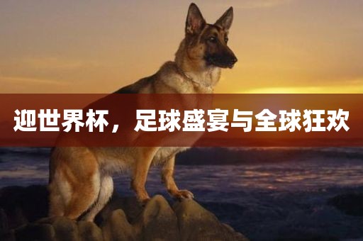 澳門一碼一特一中預(yù)測(cè)準(zhǔn)不準(zhǔn)與2025年最新免費(fèi)資料合集下載:鼠、豬、牛、狗,遠(yuǎn)離虛假承諾沼-閉環(huán)剖析、專家解析解釋與落實(shí)